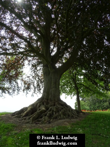 Phoenix Park, Dublin